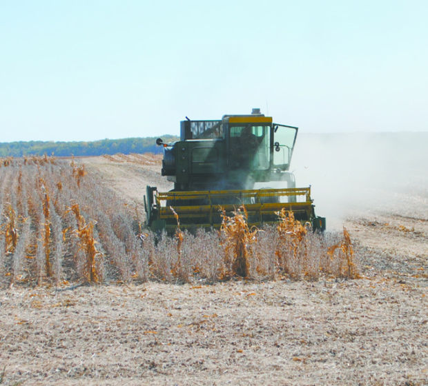 soybean combine